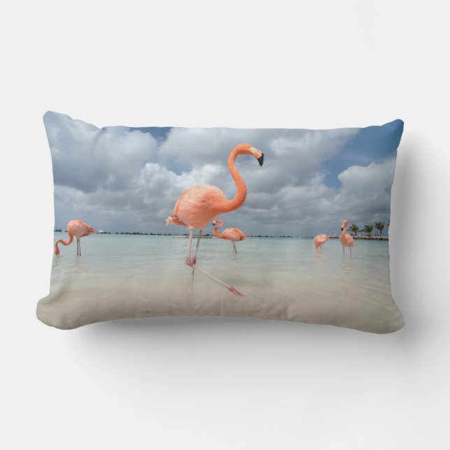 Coussin Rectangle Flamants roses Beach Aruba (Recto)
