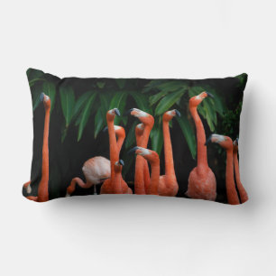 Coussin Rectangle Flamants roses en Paradise