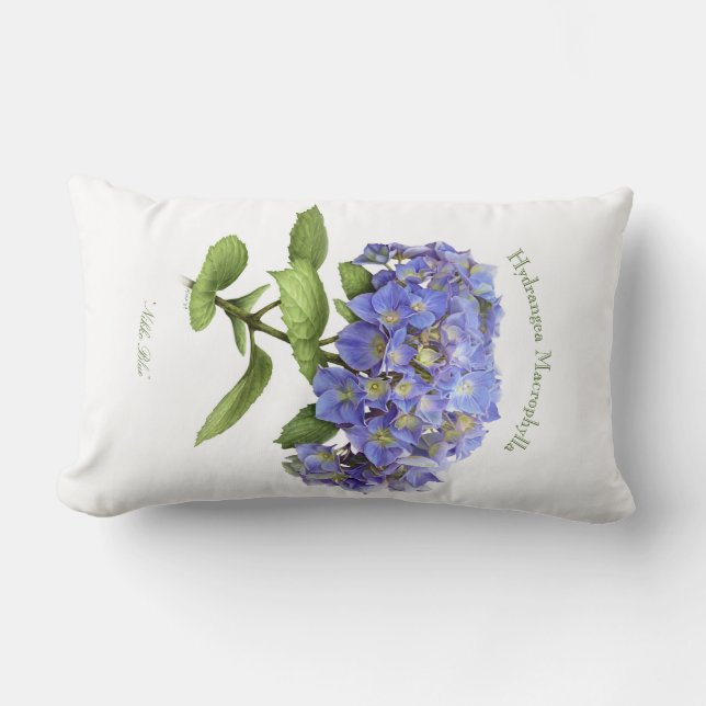 Coussin Rectangle Fleur Blue Hydrangea (Recto)