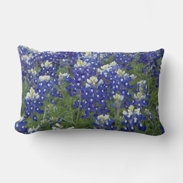 Coussin Rectangle Fleur d'état du Texas de champ de Bluebonnets (Recto)