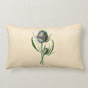 Coussin Rectangle Fleur sauvage d'antiquité de chardon d'écossais du