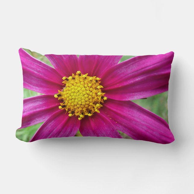 Coussin Rectangle Fleur sauvage de Cosmos pourpre (Recto)