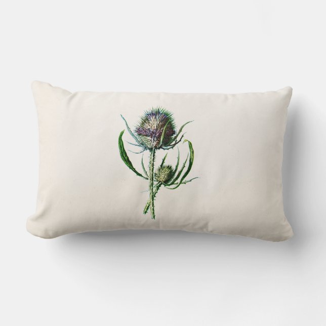 Coussin Rectangle Fleur sauvage de vieux chardon écossais du cru (Recto)