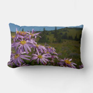 Coussin Rectangle Fleurs d'aster violettes au mont Rainier