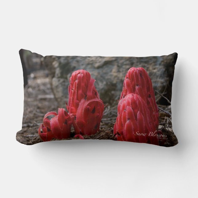 Coussin Rectangle Fleurs de neige (Recto)