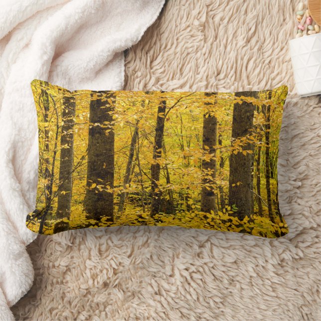 Coussin Rectangle Forêt nationale de Fall Pisgah (Couverture)