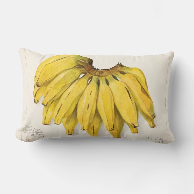 Coussin Rectangle Fruits vintages (Recto)