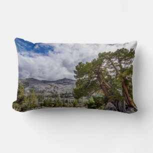 Coussin Rectangle Genévrier de la Sierra et arbres à feuilles persis