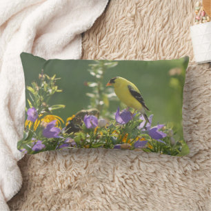 Coussin Rectangle Goldfinch sur Harebell Flower