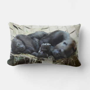 Coussin Rectangle Gorilles de plaine faisant une sieste
