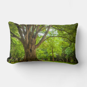 Coussin Rectangle Grand arbre dans le parc