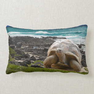 Coussin Rectangle Grande tortue au bord de mer