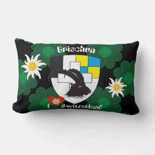 Coussin Rectangle Grischun Grigioni Schweiz Svizra Kissen