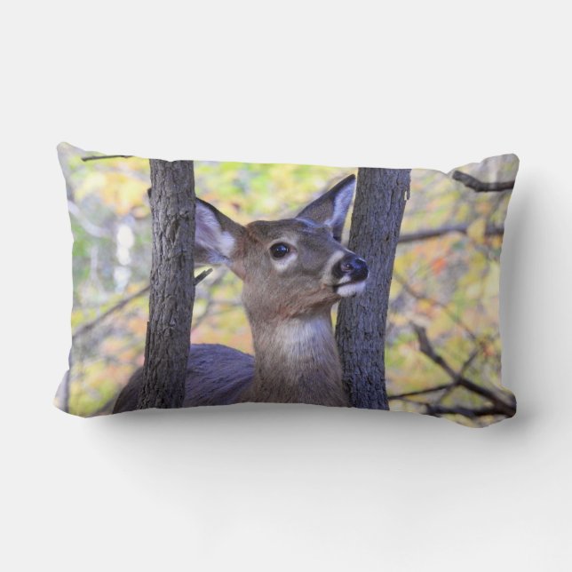 Coussin Rectangle Gros plan des cerfs (Verso)