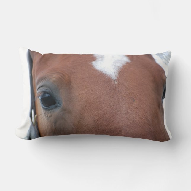 Coussin Rectangle Gros plan du Chestnut Horse (Recto)