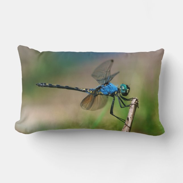 Coussin Rectangle Gros plan d'une libellule bleue sur une branche (Recto)
