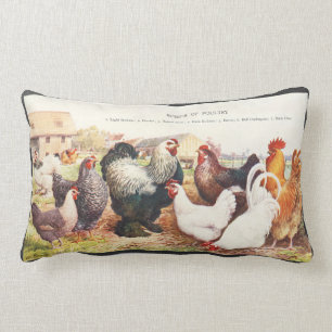 Coussin Rectangle Groupe vintage coloré de poulets à l'oreiller
