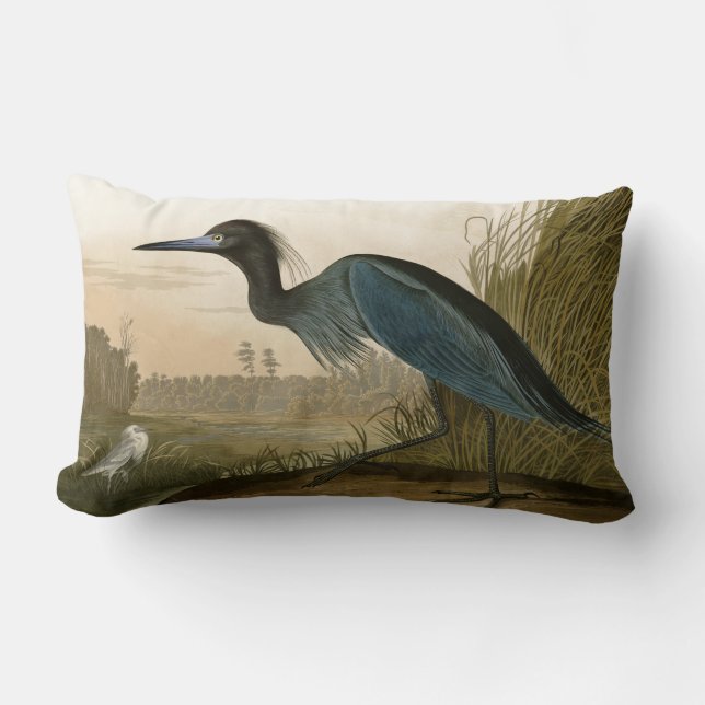 Coussin Rectangle Grue Bleue Heron Audubon Peinture (Recto)
