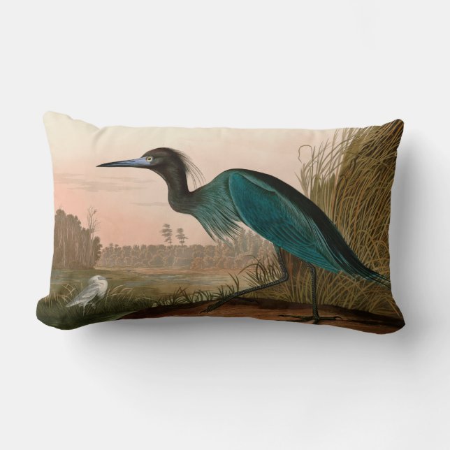 Coussin Rectangle Grue bleue ou Heron Birds of America Audubon Impri (Recto)
