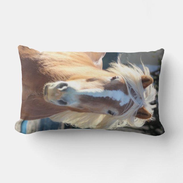 Coussin Rectangle Haflinger (Recto)