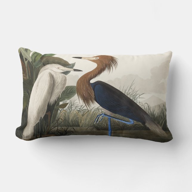 Coussin Rectangle Héron violet des oiseaux d'Amérique (Recto)