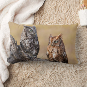 Coussin Rectangle Hibou des marais perché dans un arbre