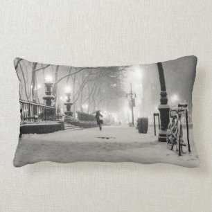 Coussin Rectangle Hiver de New York - nuit de Milou - parc de Bryant