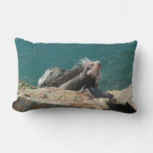 Coussin Rectangle Iguane à St. Thomas