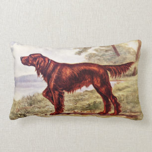 Coussin Rectangle Illustration 1900 de poseur irlandais de chien