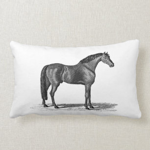 Coussin Rectangle Illustration Arabe de cheval de 1800s vintages -