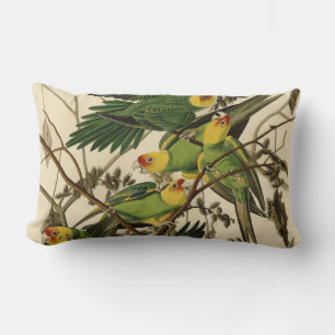 Coussin Rectangle Illustration Audubon Carolina Parrot Bird