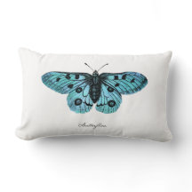 Illustration bleue turquoise vintage de papillon -