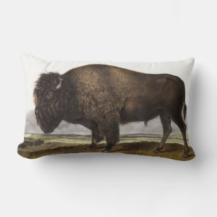 Coussin Rectangle Illustration du bison américain (Bos Americanus)