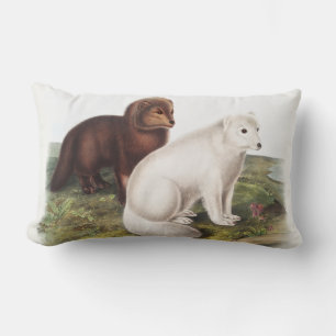Coussin Rectangle Illustration du renard arctique (Vulpes lagopus)