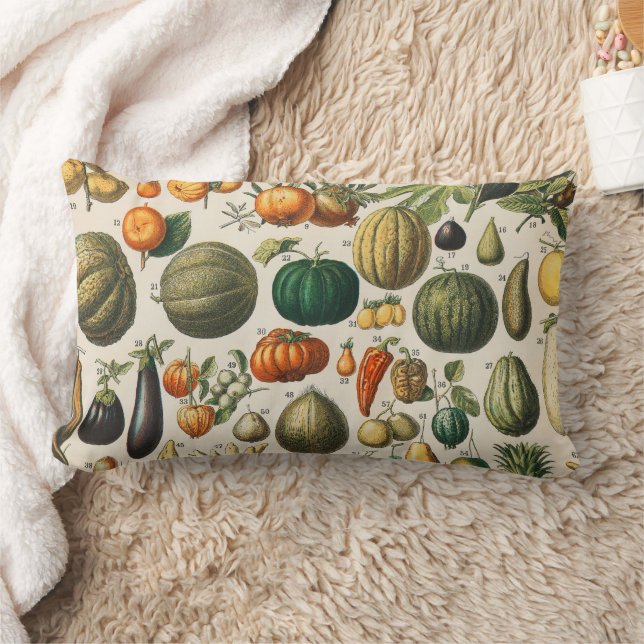 Coussin Rectangle Illustration scientifique végétale des fruits (Couverture)