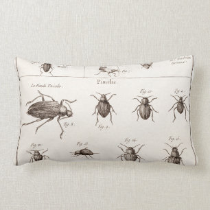 Coussin Rectangle Illustration vintage de scarabées d'insectes