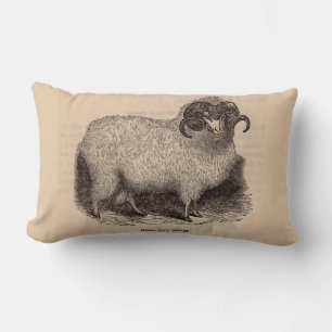 Coussin Rectangle Imprimerie du 19e siècle moutons des Highlands