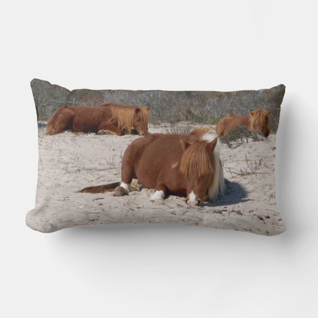 Coussin Rectangle Jeter des ponies sauvages au Parc national Assatea (Recto)