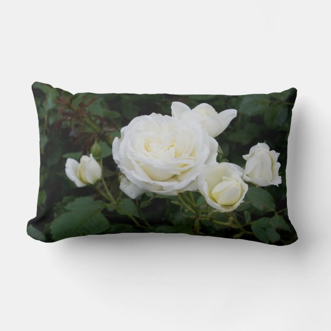 Coussin Rectangle Jeter L'Oreiller (Lumbar) Avec Des Roses Blanches (Recto)