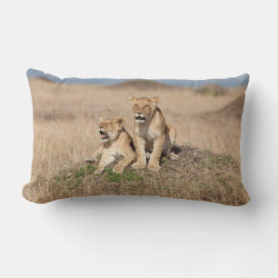 Coussin Rectangle Jeunes lions