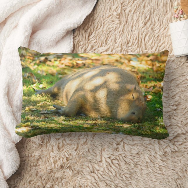 Coussin Rectangle Jolie Capybara rêve dans le soleil d'été (Couverture)