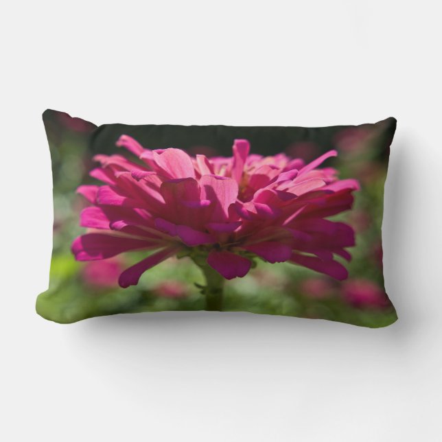 Coussin Rectangle Joyeux Zinnia (Recto)