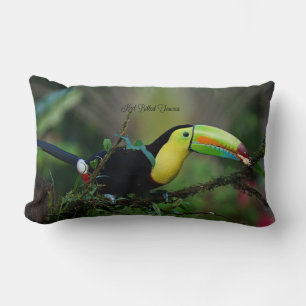 Coussin Rectangle Keel Facturé Toucan Bird