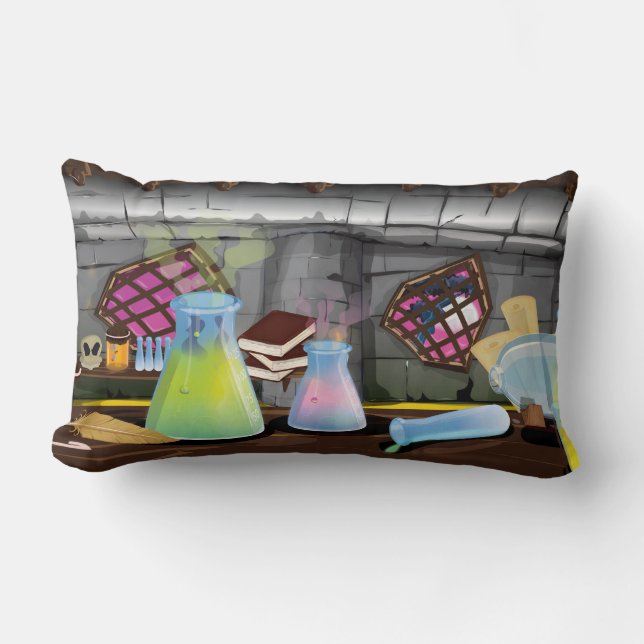 Coussin Rectangle Laboratoire de sciences (Recto)