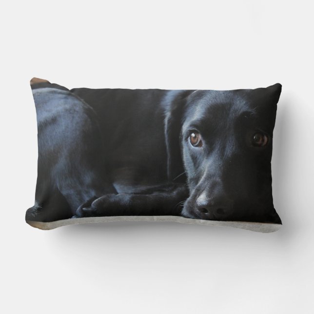 Coussin Rectangle Labrador noir (Recto)