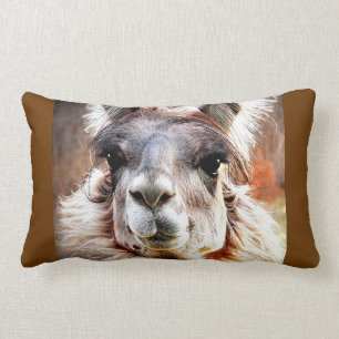 Coussin Rectangle Lama