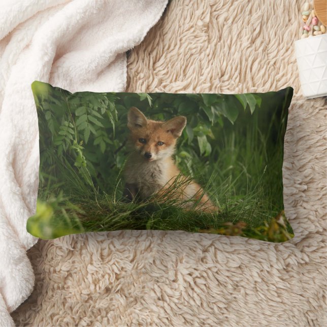 Coussin Rectangle Le chou renard dans une forêt verte (Couverture)