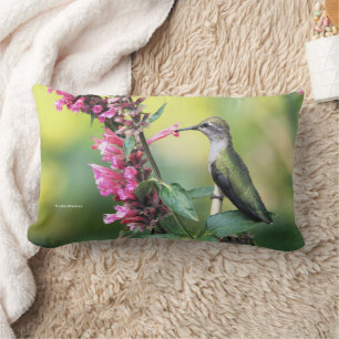 Coussin Rectangle Le colibri d'Anna sur les fleurs d'hyssop d'anis