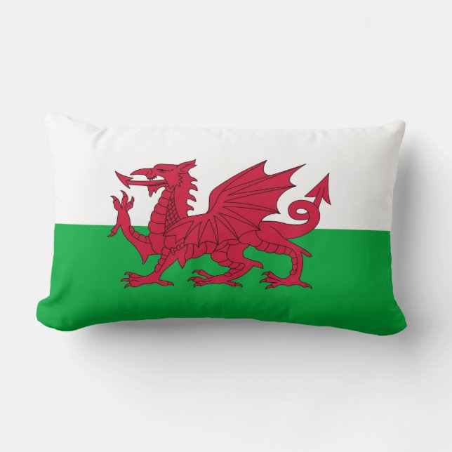 COUSSIN RECTANGLE LE PAYS DE GALLES (Recto)
