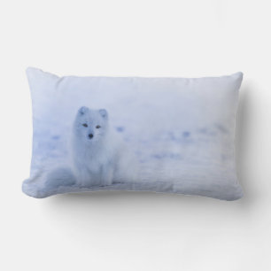 Coussin Rectangle Le renard arctique sur le Arrière - plan hivernal